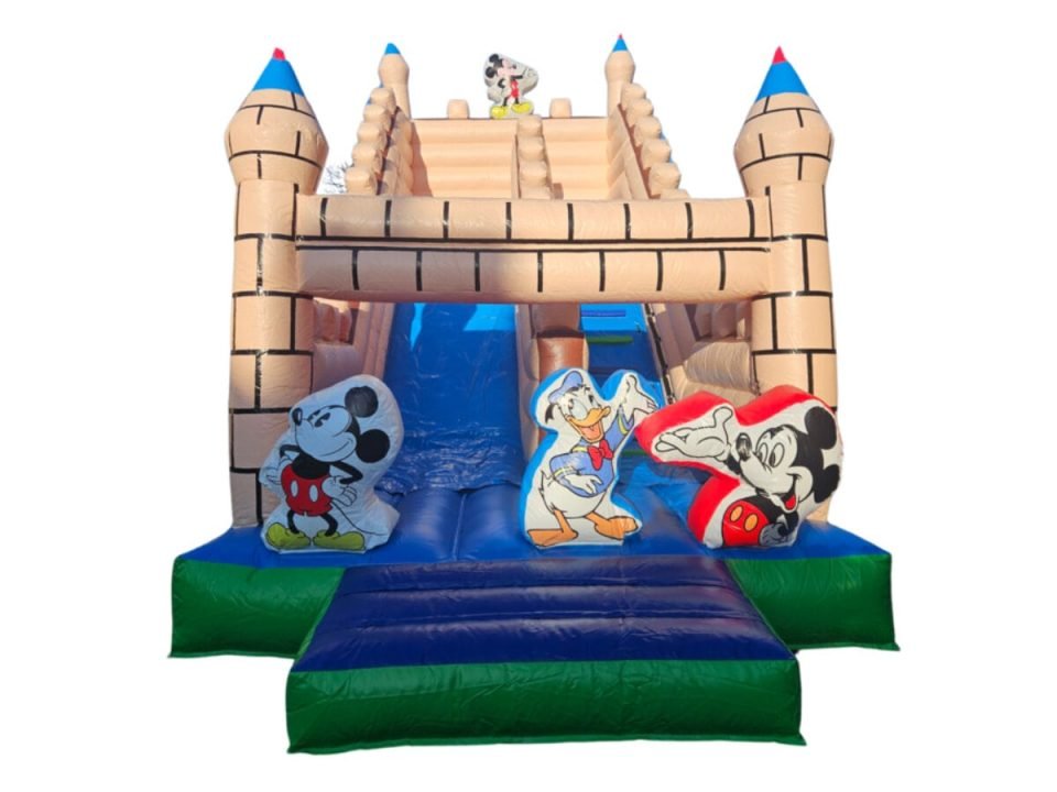 updated.disney_pilis.SmallerSize-960x720